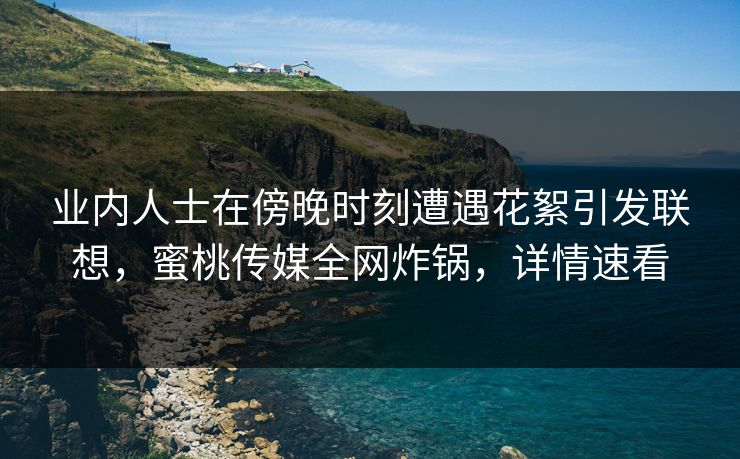业内人士在傍晚时刻遭遇花絮引发联想，蜜桃传媒全网炸锅，详情速看